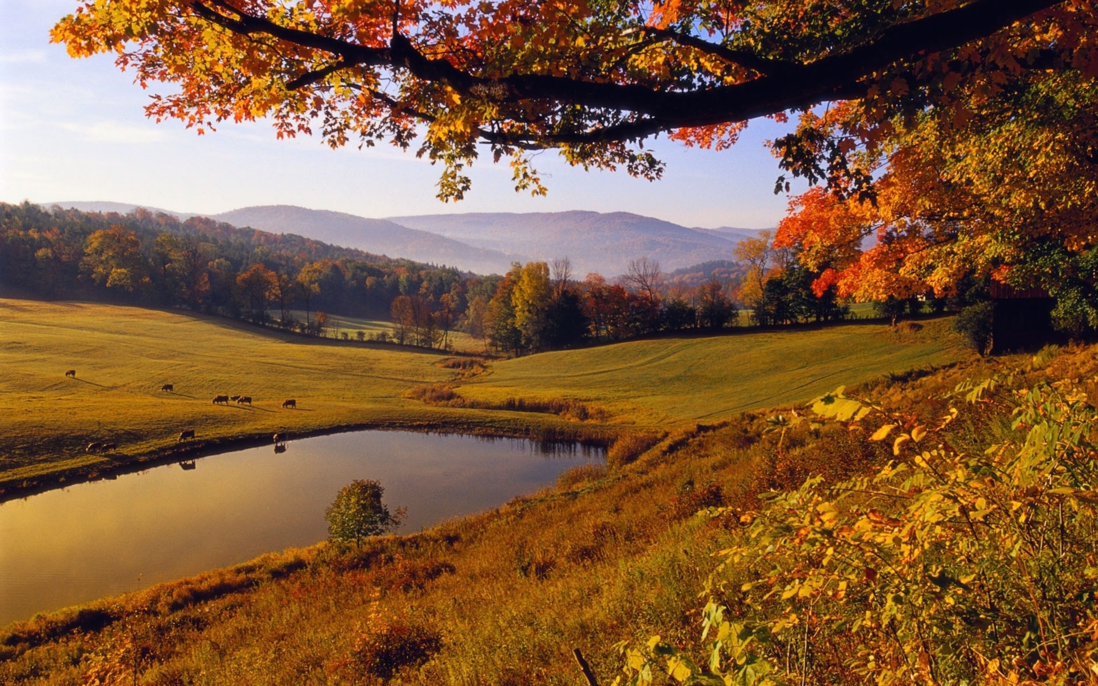 Fall definition. Штат Вермонт природа. Пушгоры осень. Осенняя природа. Осенний пейзаж.