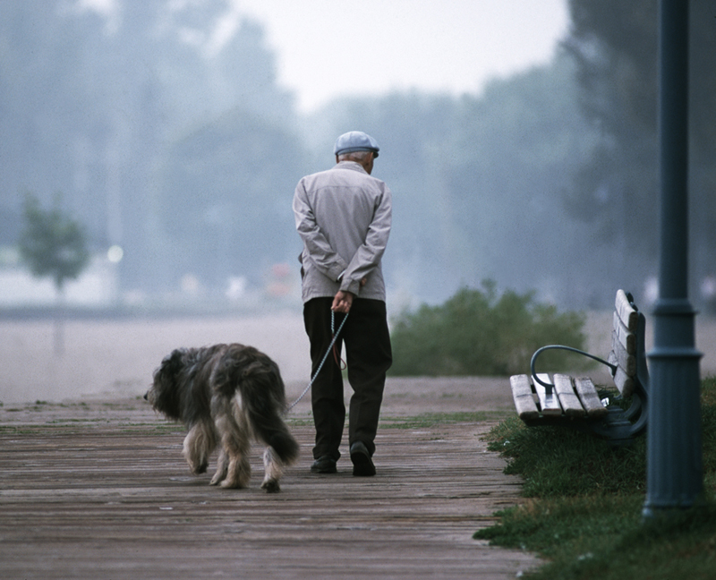 The Old Man and His Dog | John Knych
